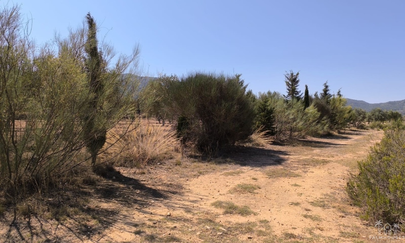Venta - Country house - Villena - Villena Centro