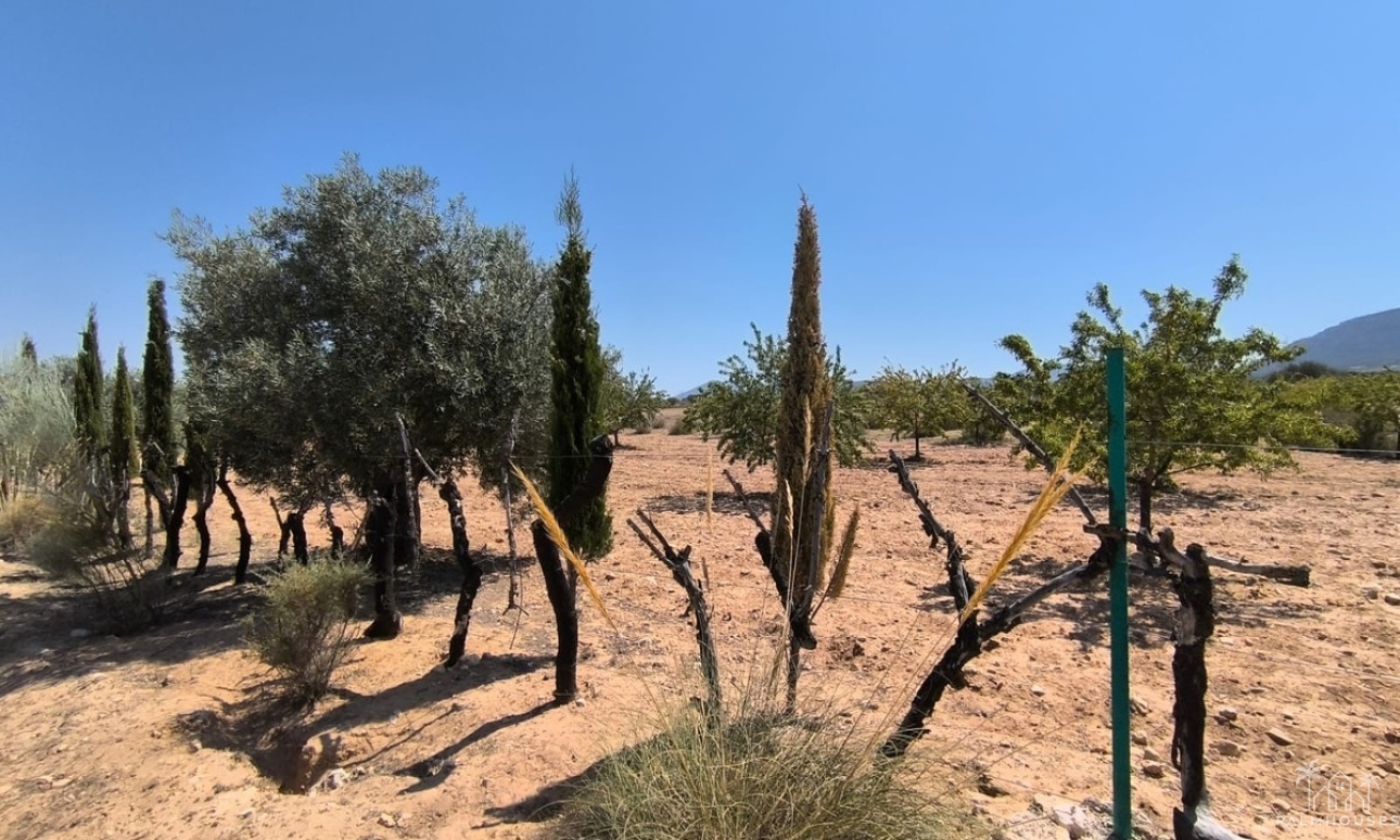 Venta - Country house - Villena - Villena Centro