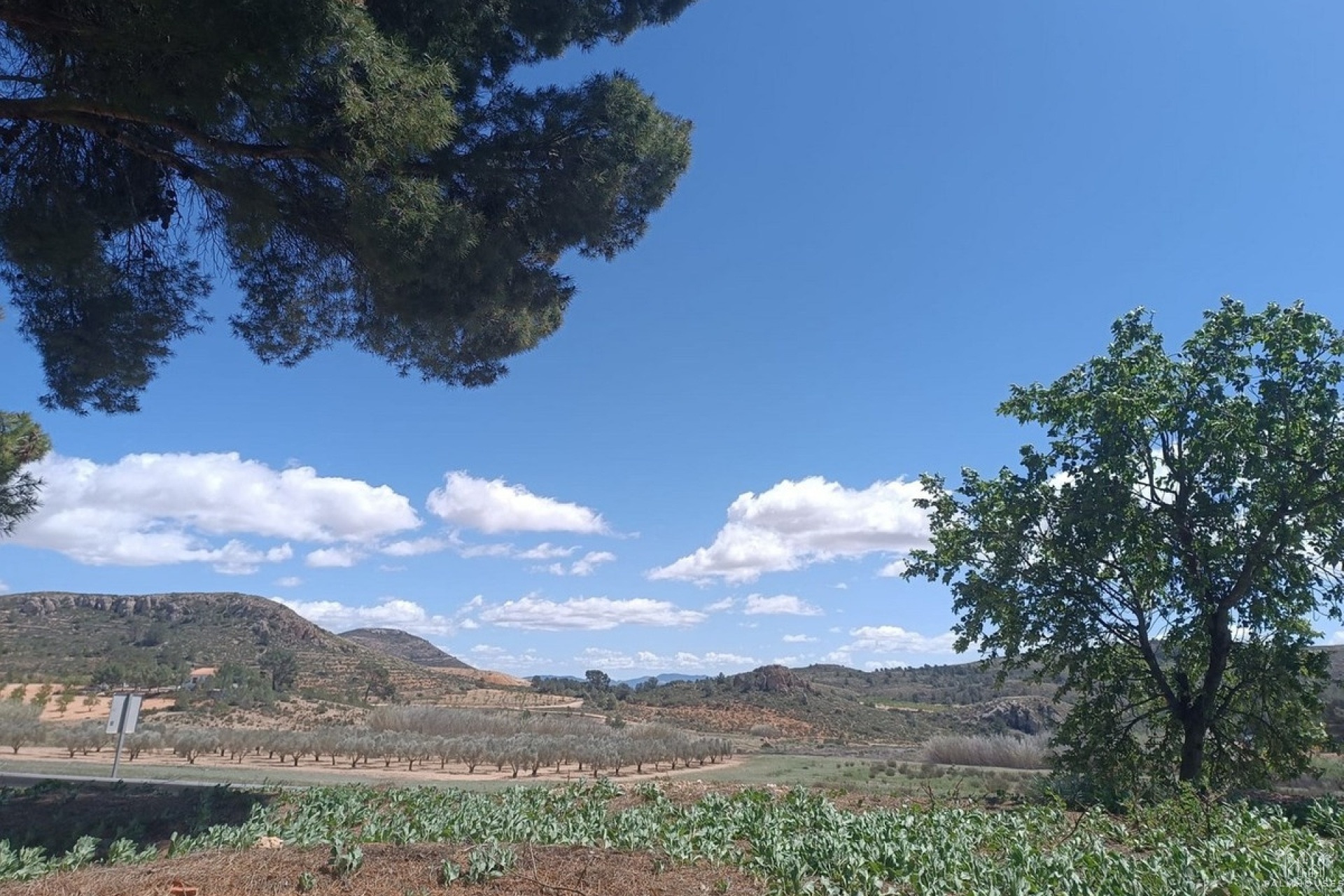 Venta - Country house - Yecla - Yecla Centro