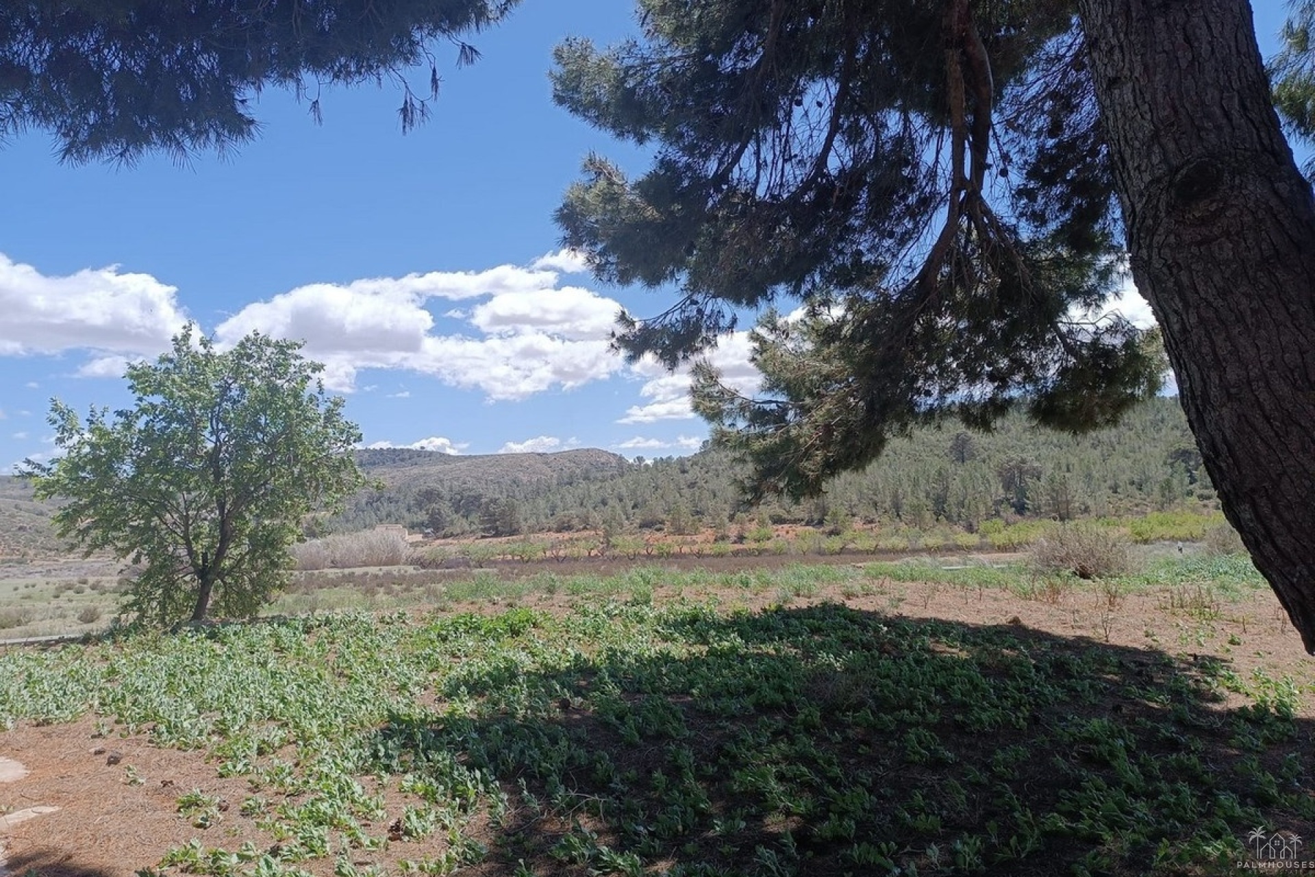 Venta - Country house - Yecla - Yecla Centro
