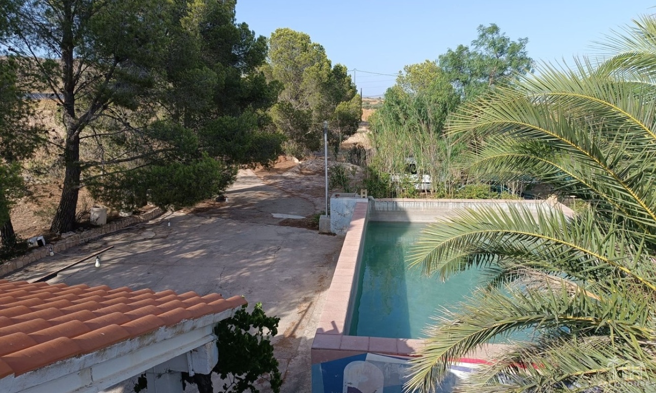 Venta - Country house - Yecla - Yecla Centro