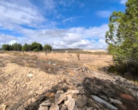 Venta - Country house - Yecla - Yecla Centro