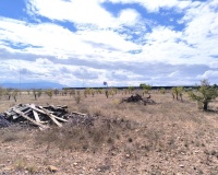 Venta - Country house - Yecla - Yecla Centro