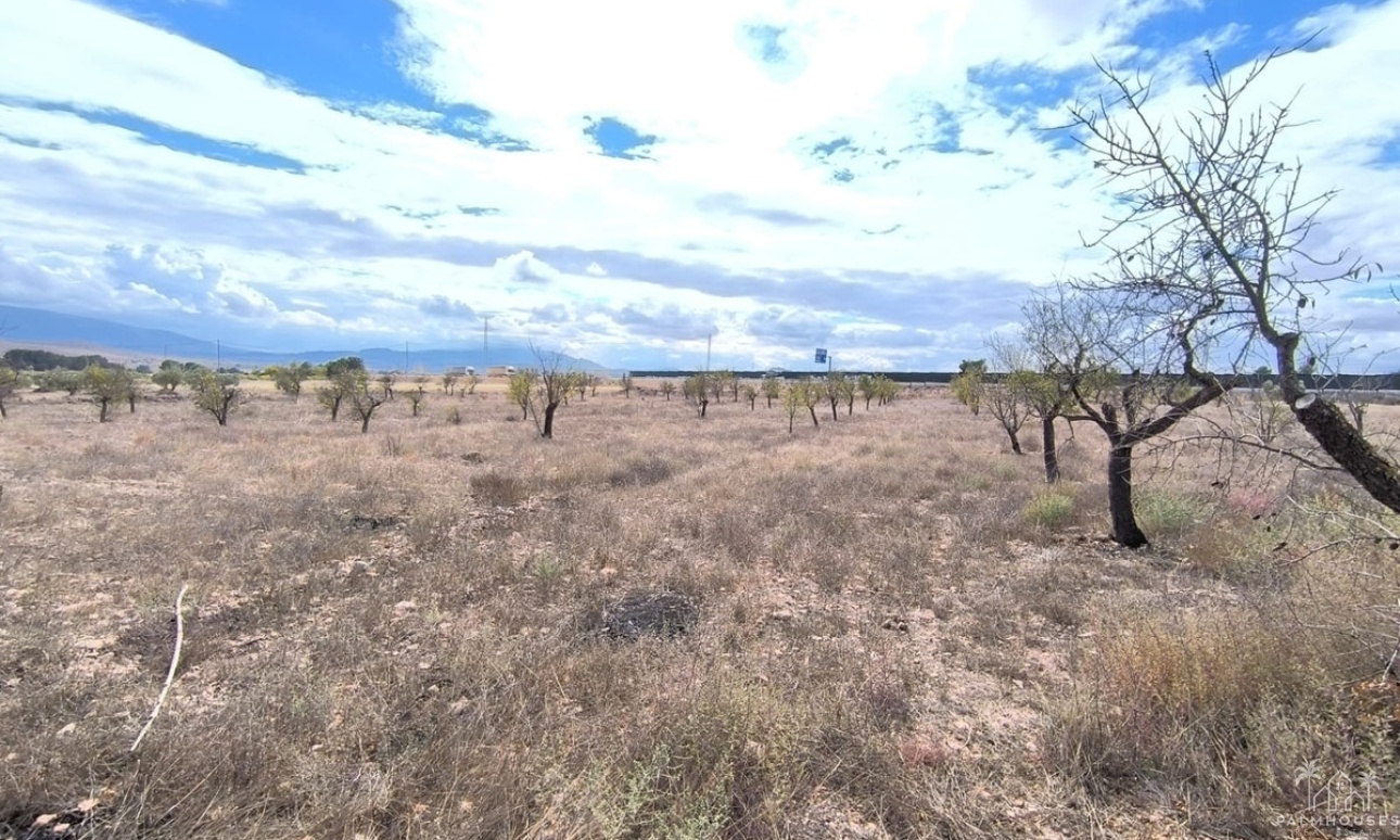 Venta - Country house - Yecla - Yecla Centro