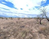 Venta - Country house - Yecla - Yecla Centro