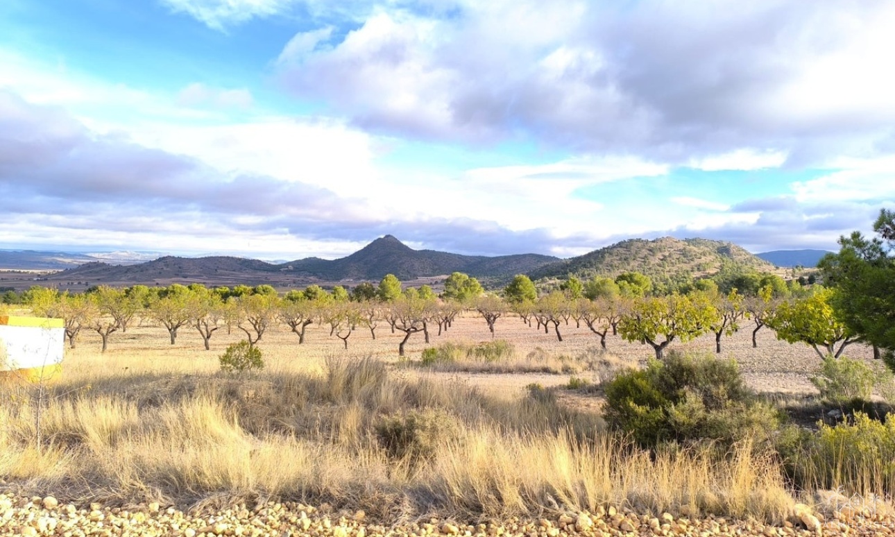 Venta - Country house - Yecla - Yecla Centro