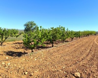 Venta - Country house - Yecla - Yecla Centro