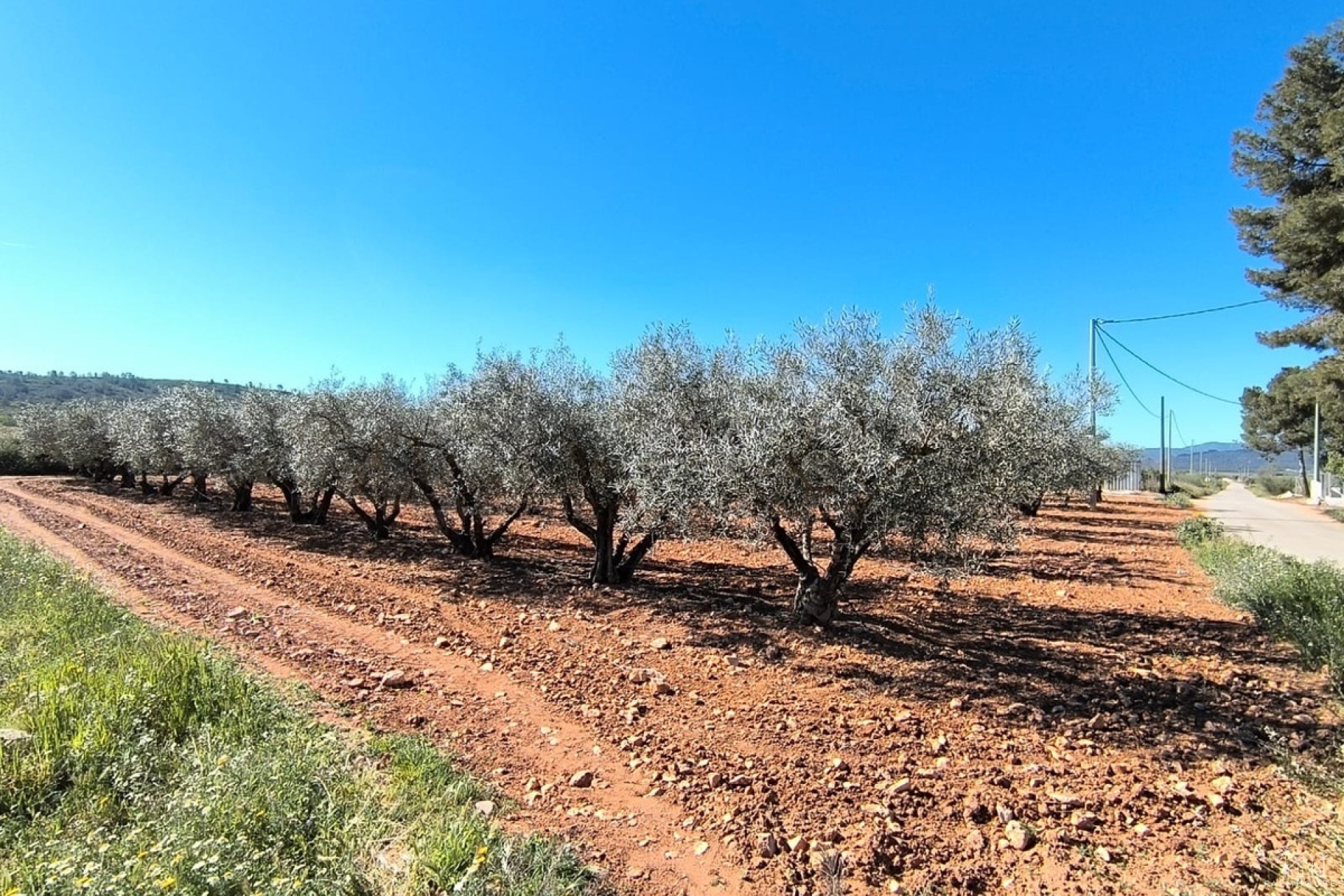 Venta - Country house - Yecla - Yecla Centro