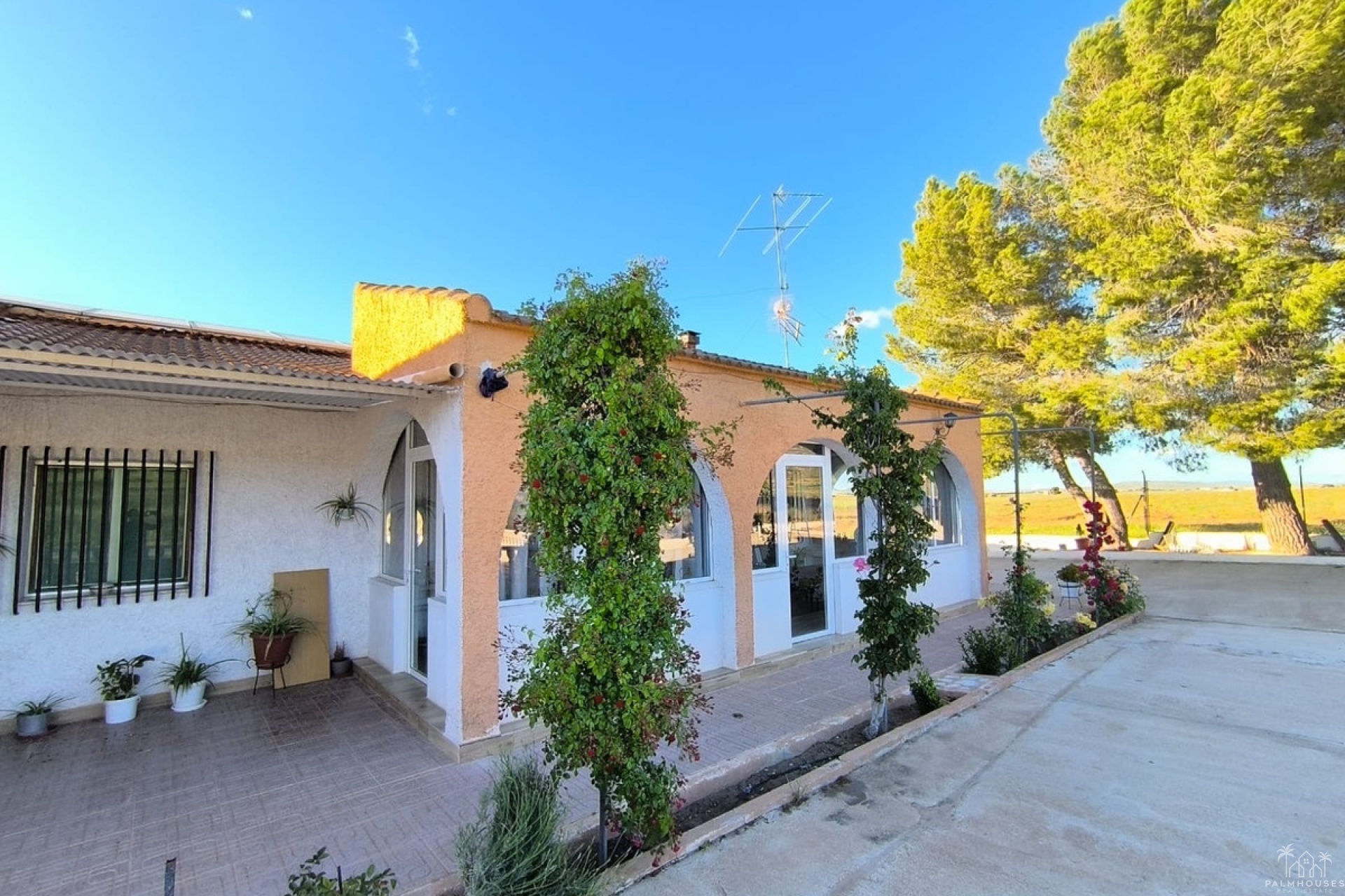 Venta - Country house - Yecla - Yecla Centro