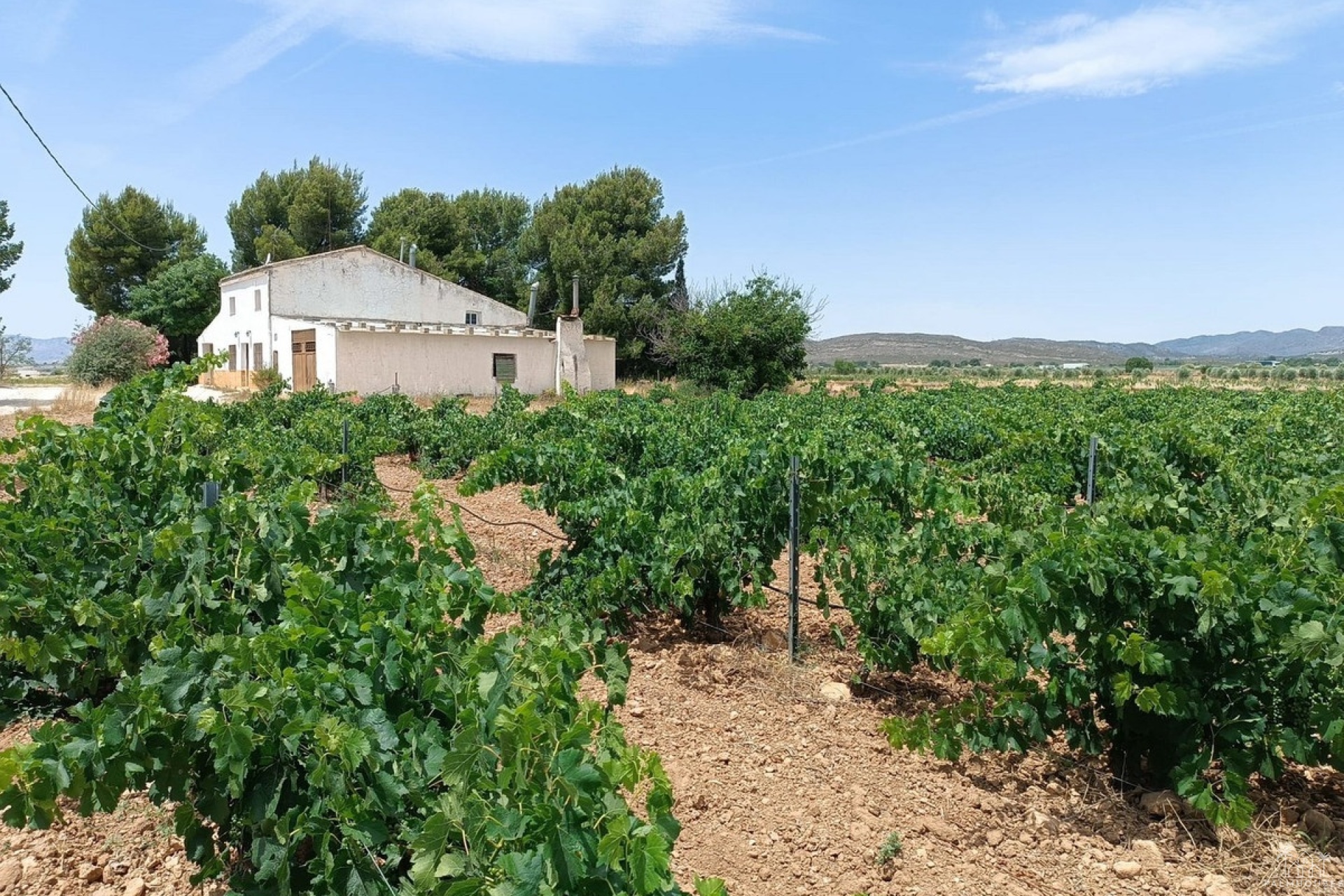 Venta - Country house - Yecla - Yecla Centro