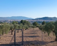 Venta - Country house - Yecla - Yecla Centro
