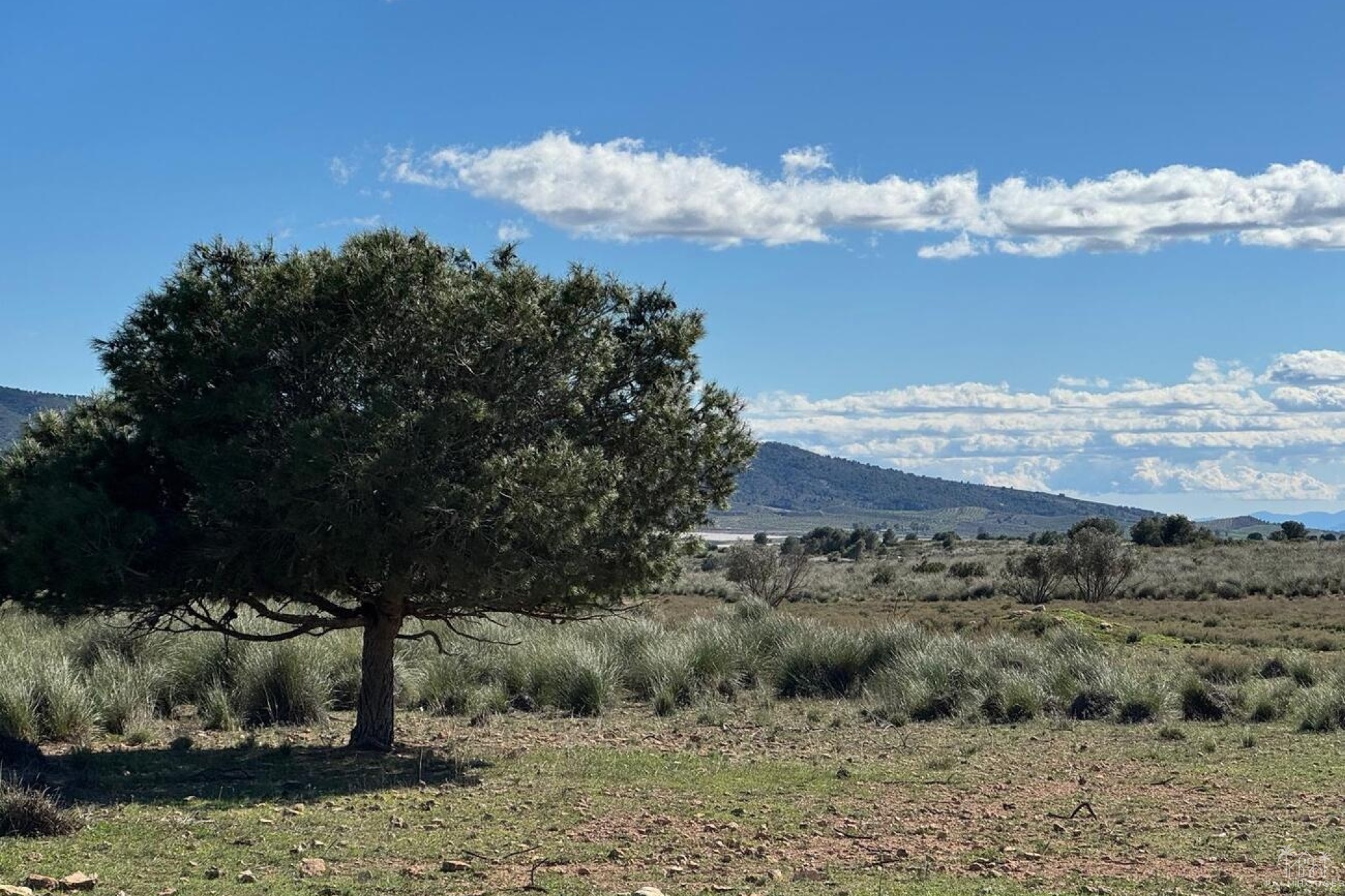Venta - Finca - Aledo - Other