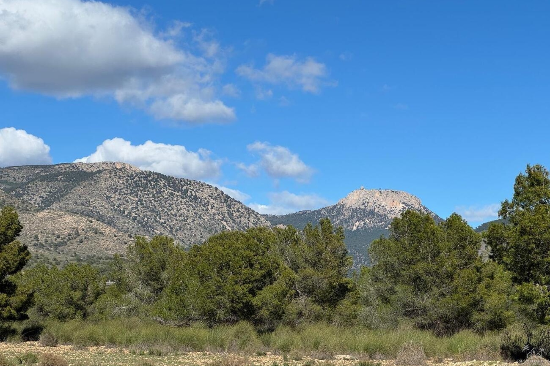 Venta - Finca - Aledo - Other