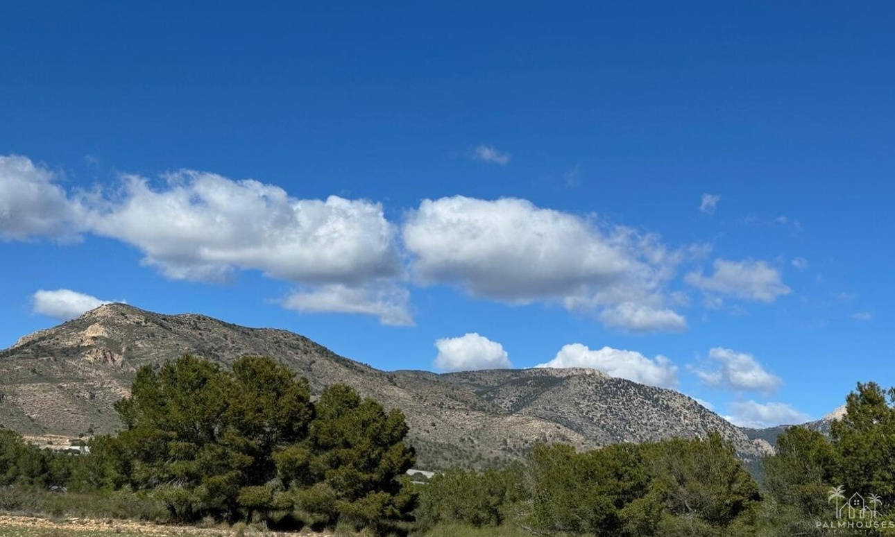 Venta - Finca - Aledo - Other