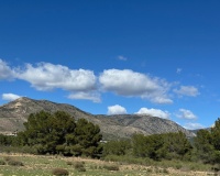 Venta - Finca - Aledo - Other