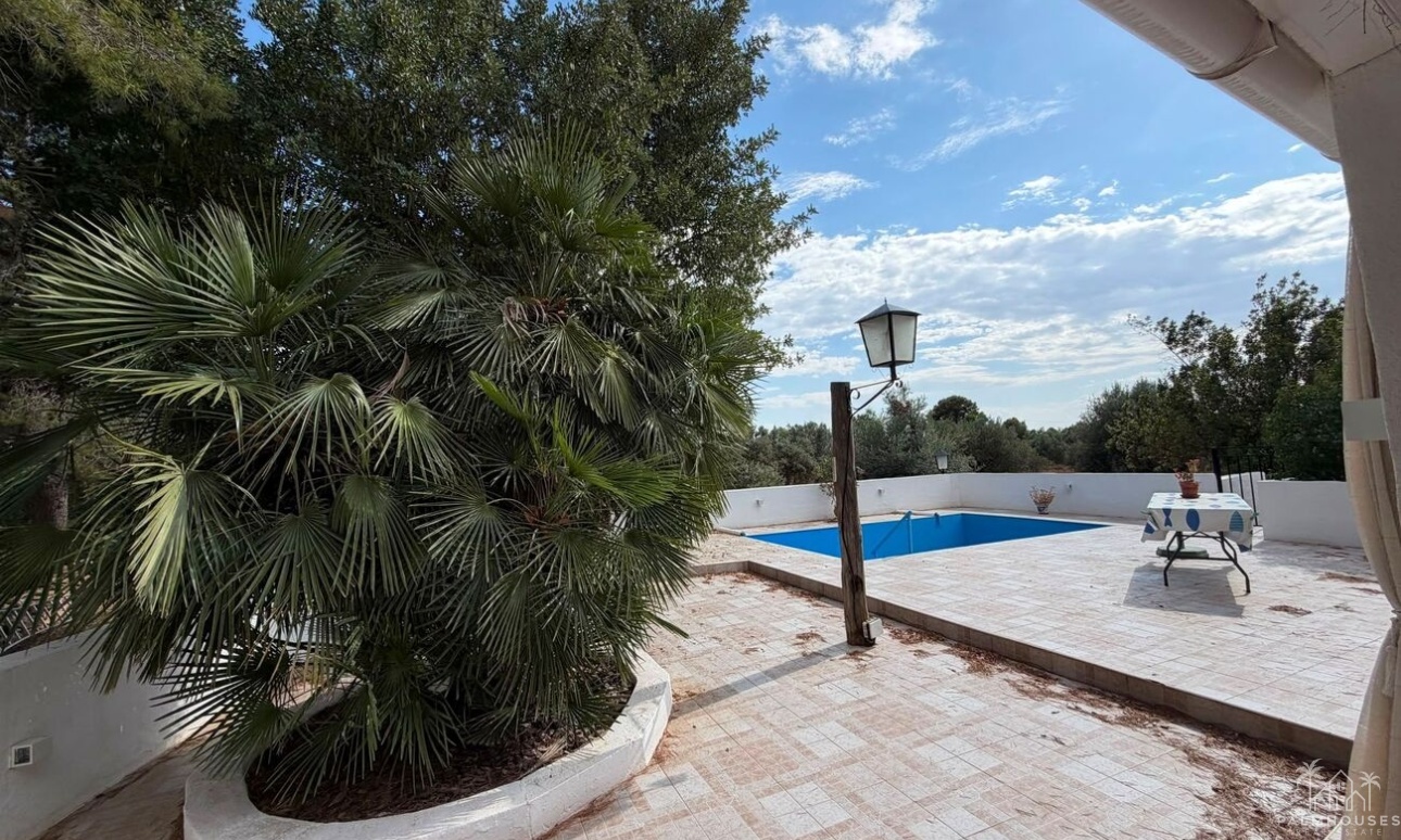 Venta - Finca - Aledo - Other