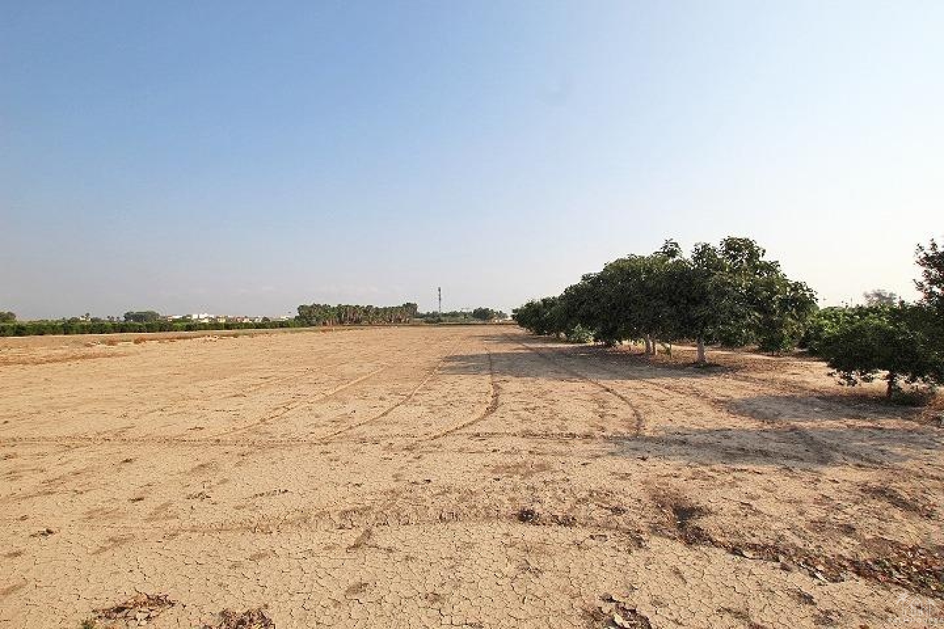 Venta - Finca - Alicante - Comunidad Valenciana