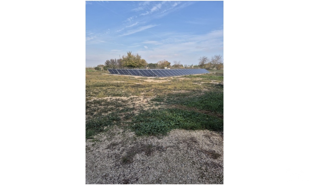 Venta - Finca - Alicante - Costa Blanca