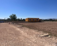 Venta - Finca - Alicante - La Bodega