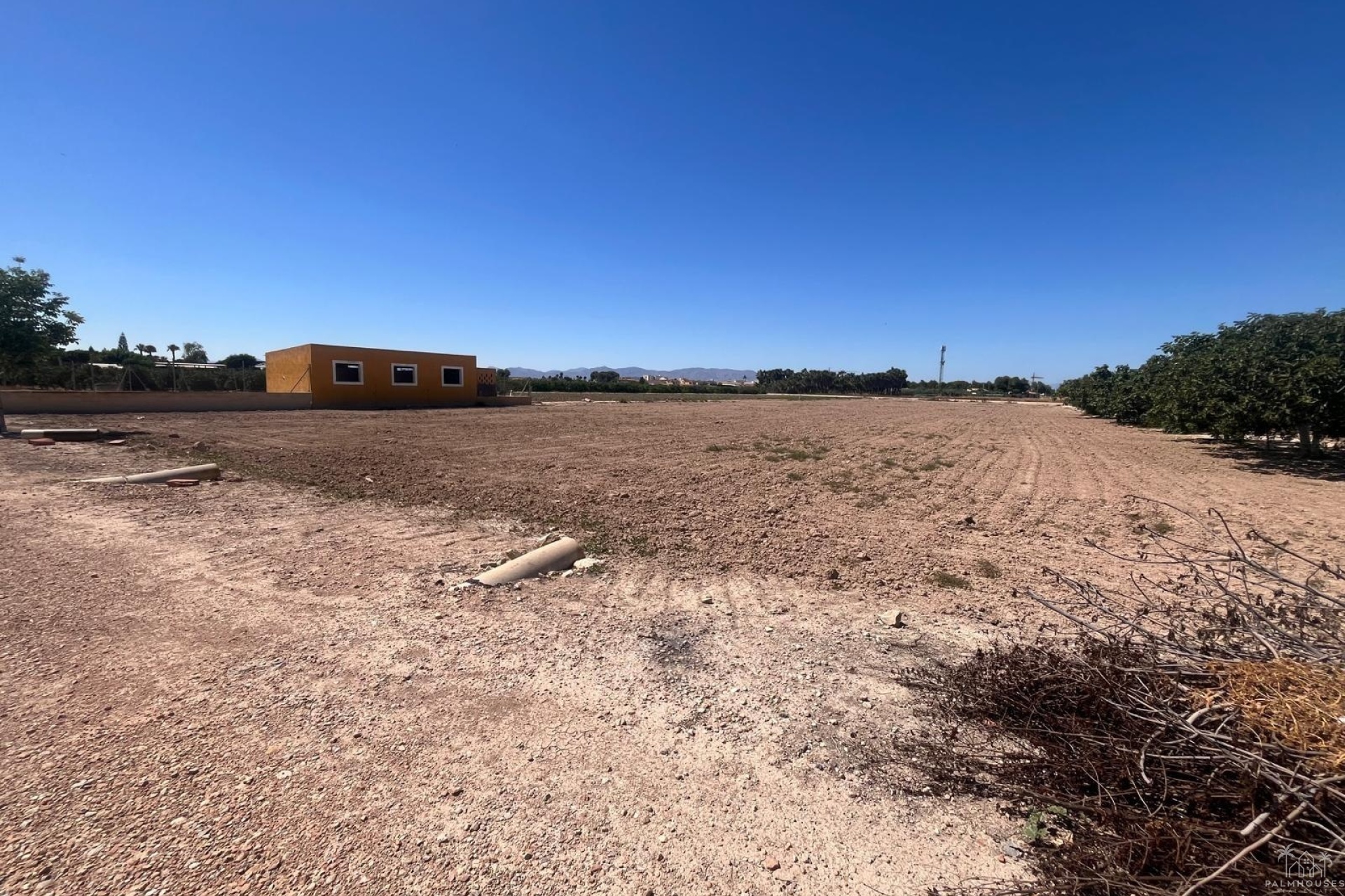 Venta - Finca - Alicante - La Bodega