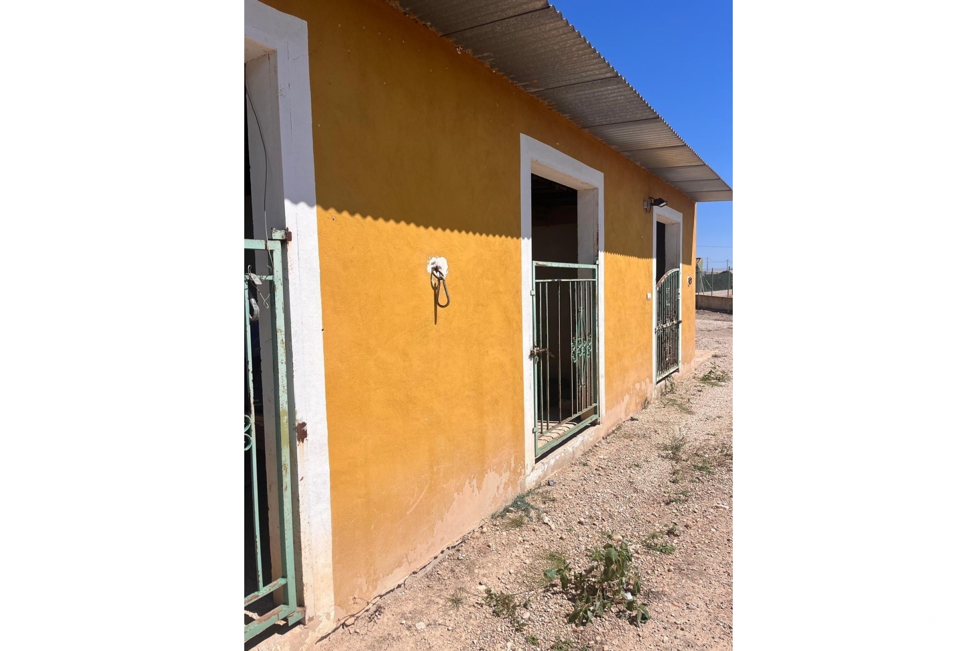 Venta - Finca - Alicante - La Bodega
