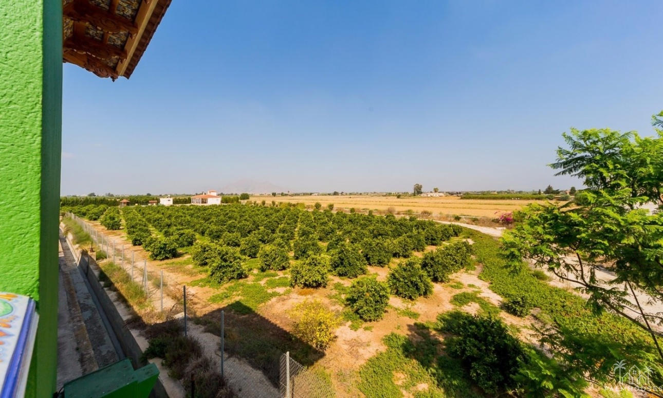 Venta - Finca - Almoradi - Camino De Catral