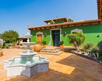 Venta - Finca - Almoradi - Camino De Catral