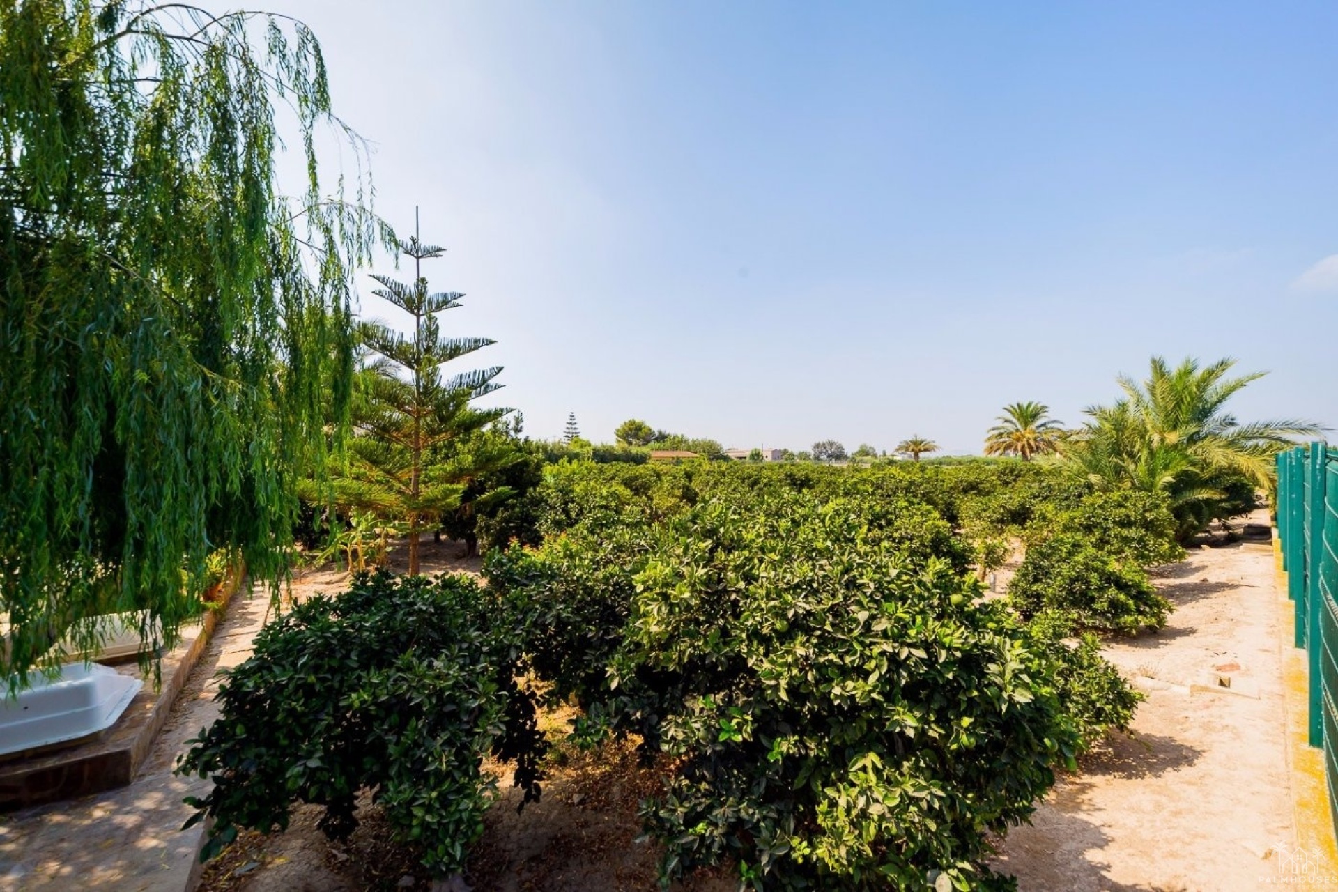 Venta - Finca - Almoradi - Camino De Catral