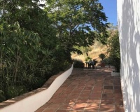 Venta - Finca - Alora - Malaga