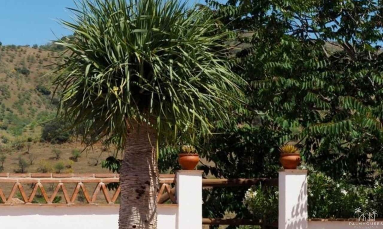 Venta - Finca - Alora - Malaga