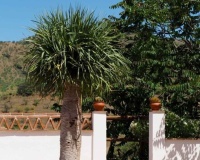 Venta - Finca - Alora - Malaga