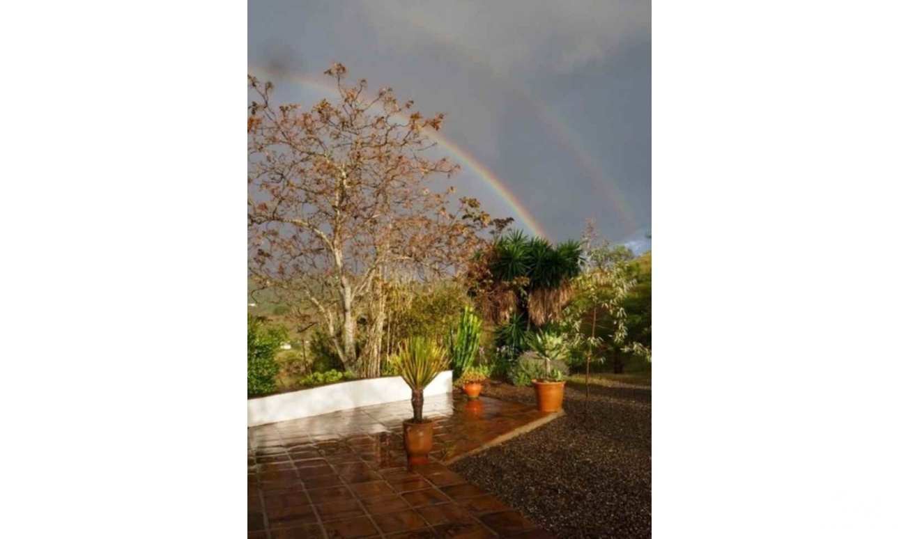 Venta - Finca - Alora - Malaga