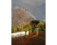 Venta - Finca - Alora - Malaga