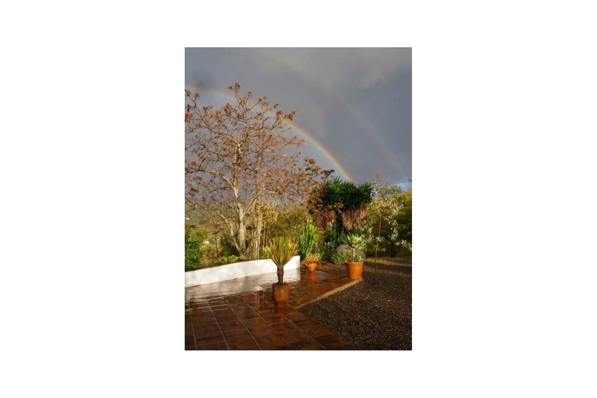Venta - Finca - Alora - Malaga