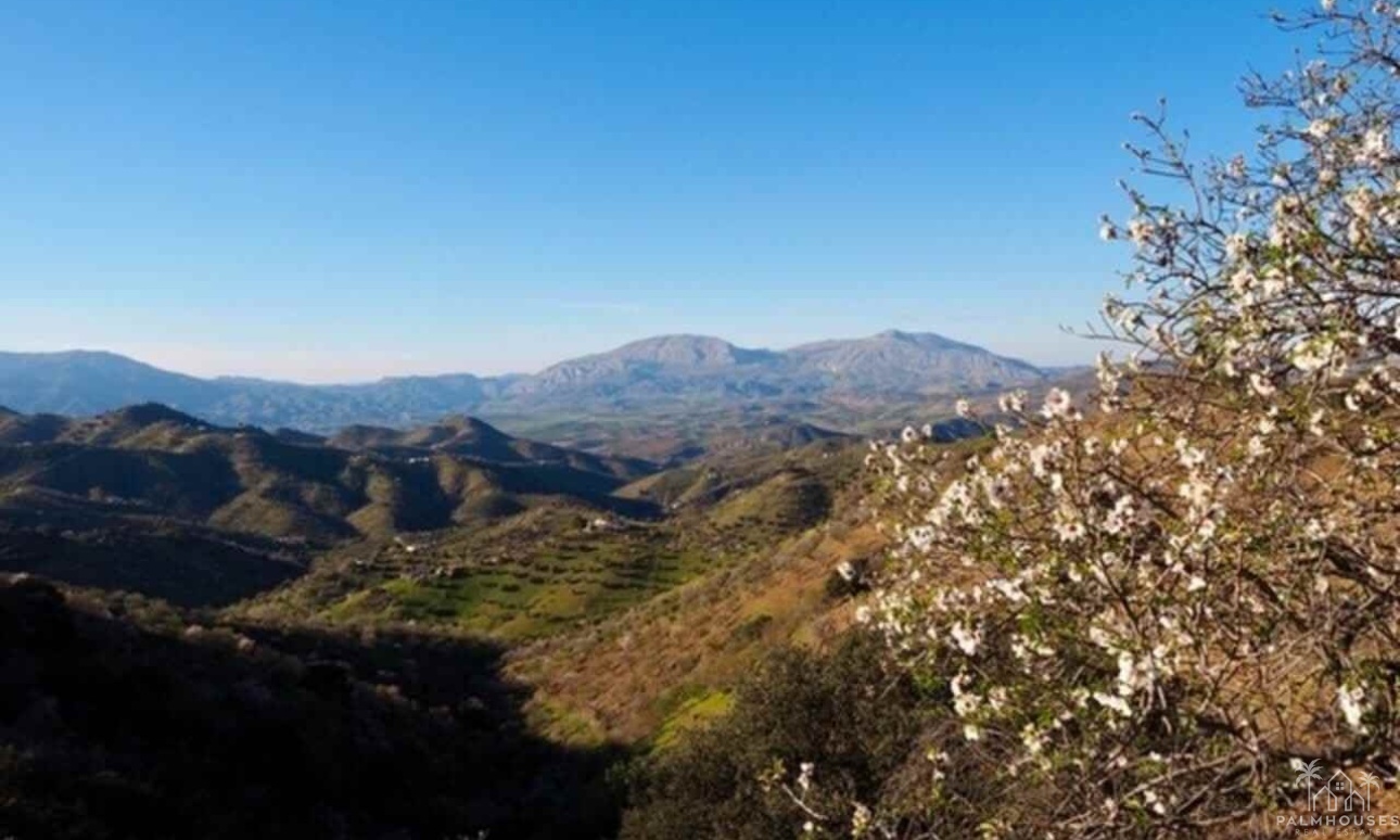 Venta - Finca - Alora - Malaga