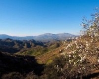 Venta - Finca - Alora - Malaga