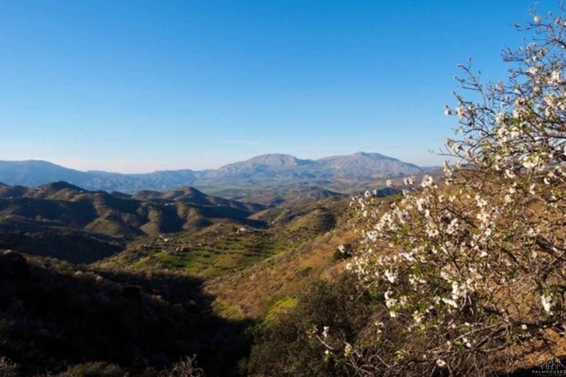 Venta - Finca - Alora - Malaga