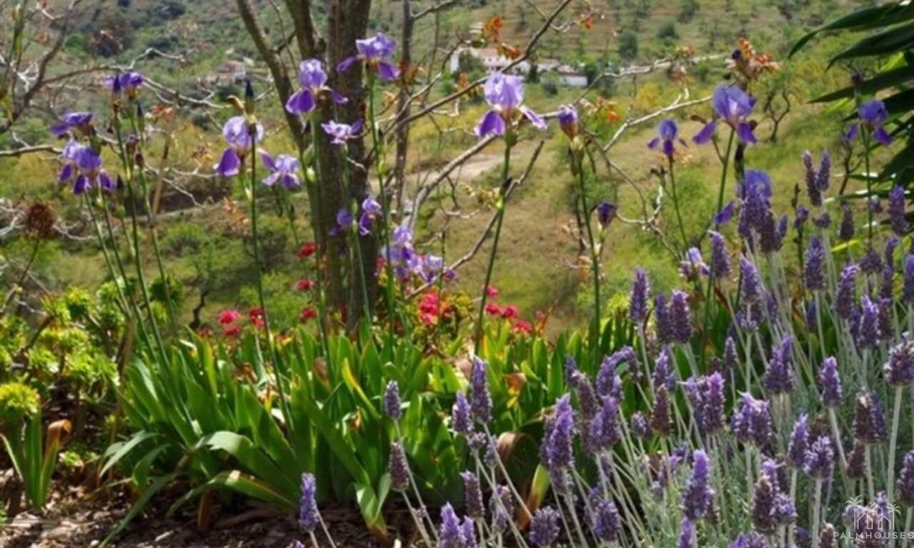 Venta - Finca - Alora - Malaga