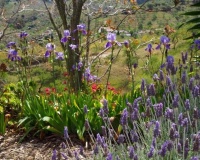 Venta - Finca - Alora - Malaga