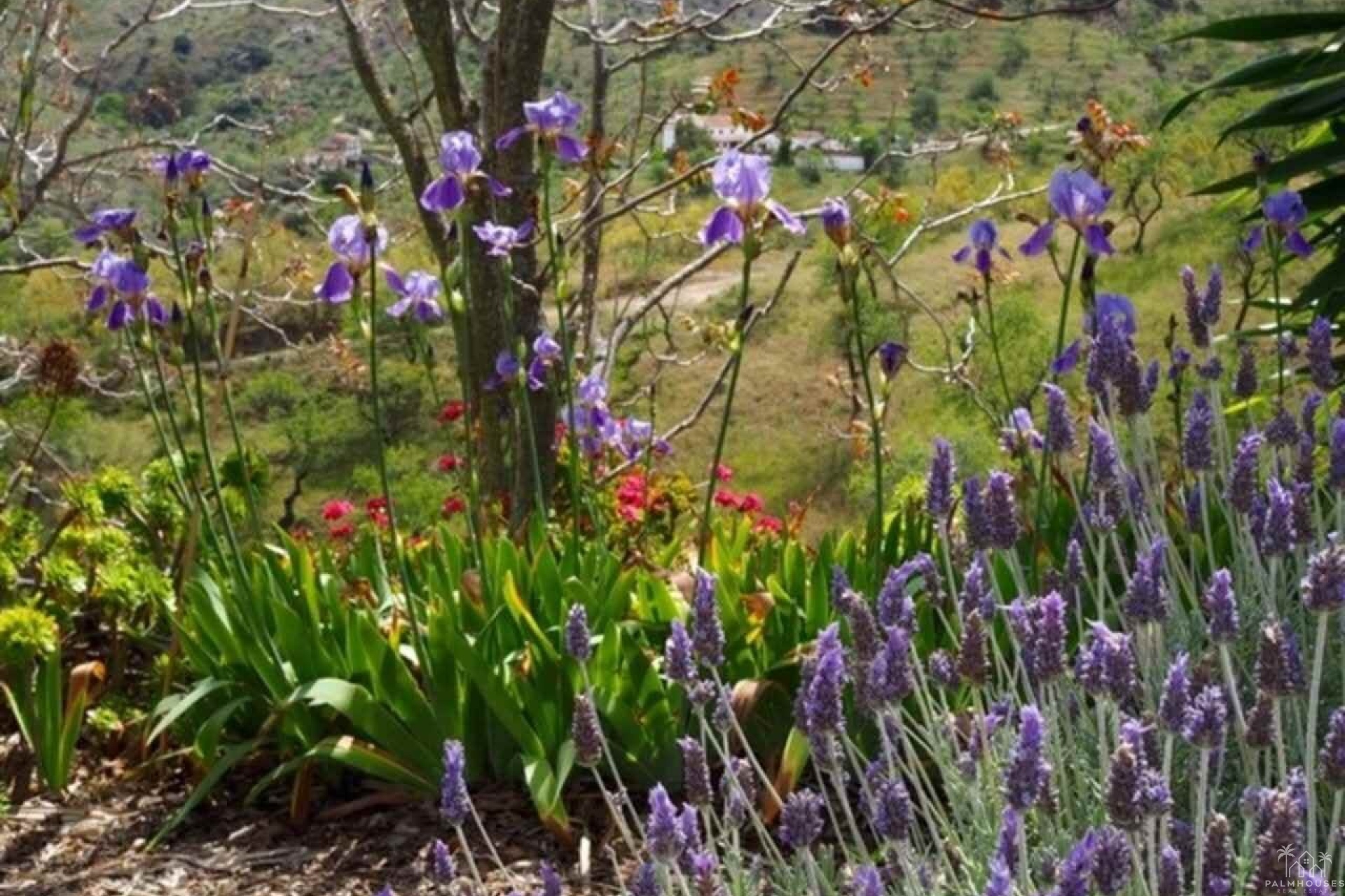 Venta - Finca - Alora - Malaga