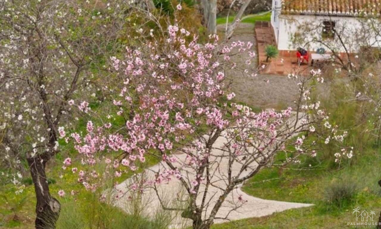 Venta - Finca - Alora - Malaga