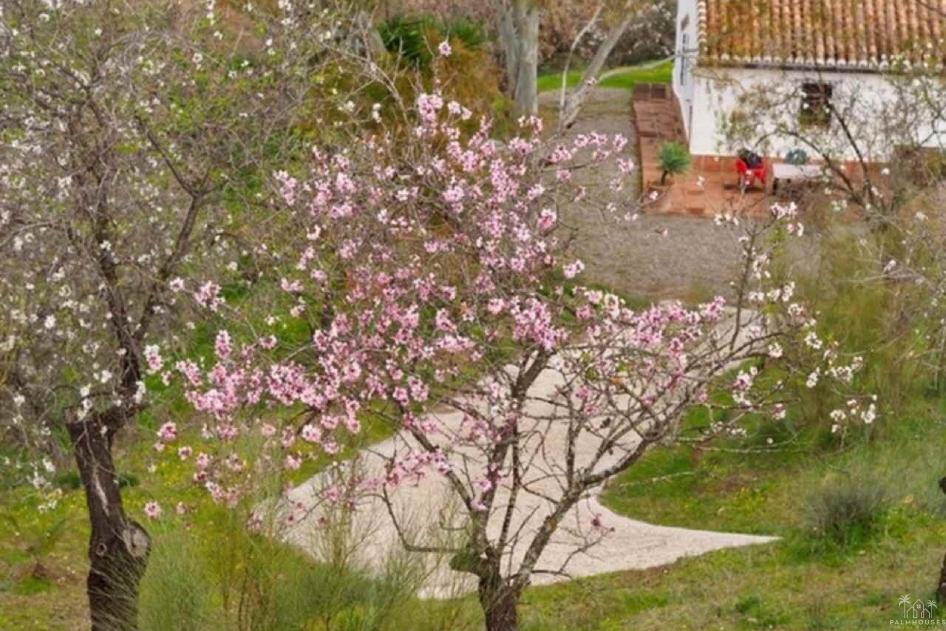 Venta - Finca - Alora - Malaga