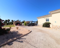 Venta - Finca - Callosa de Segura - Callosa de Segura - Country