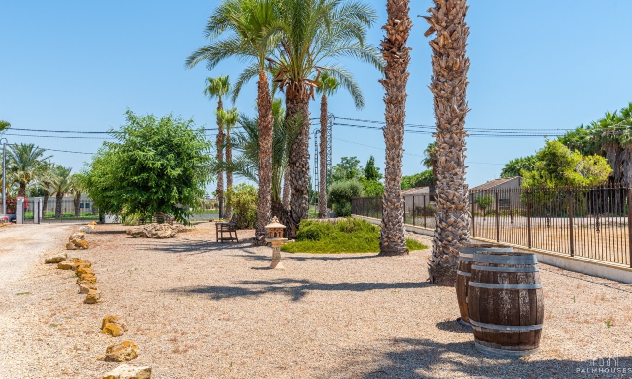 Venta - Finca - Catral