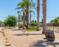 Venta - Finca - Catral