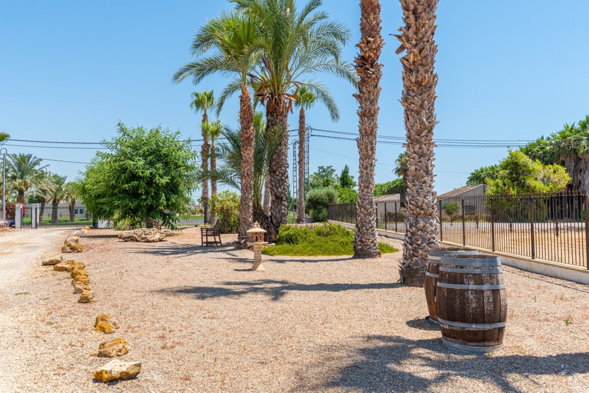 Venta - Finca - Catral