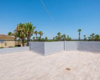 Venta - Finca - Catral