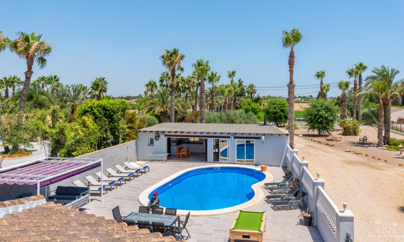 Venta - Finca - Catral