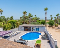 Venta - Finca - Catral