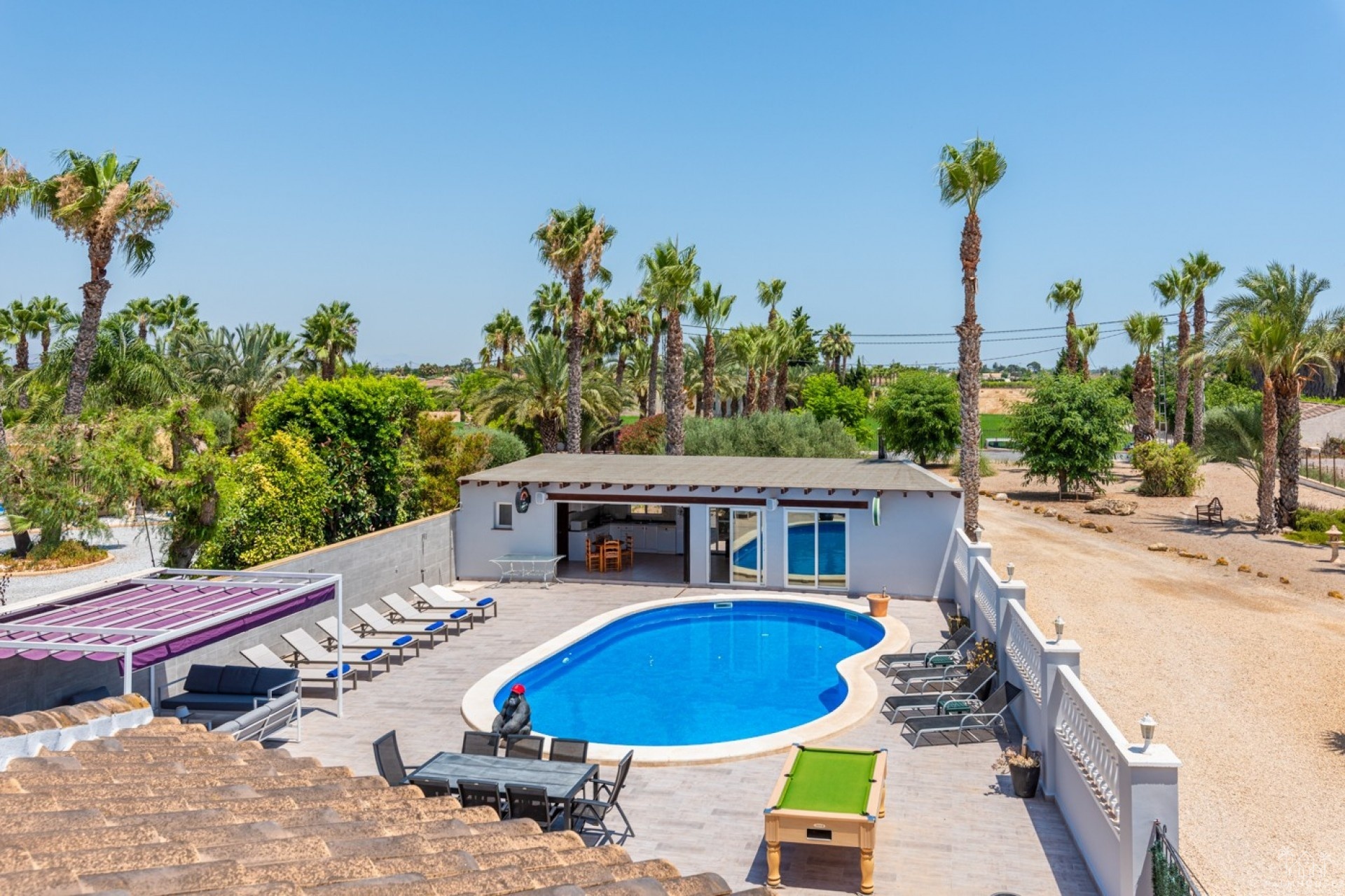 Venta - Finca - Catral